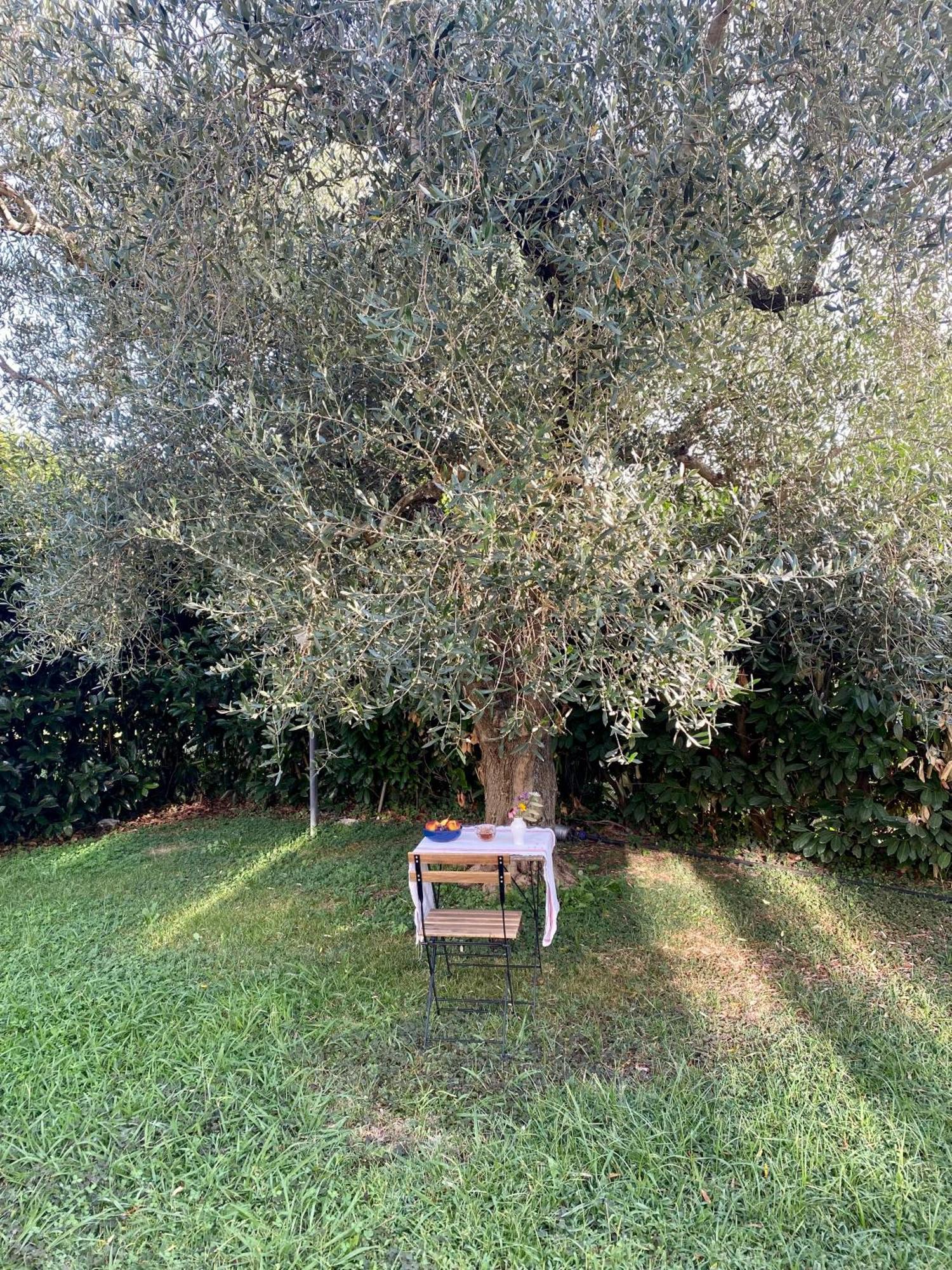 La Locanda Del Tevere Фиано-Романо Экстерьер фото