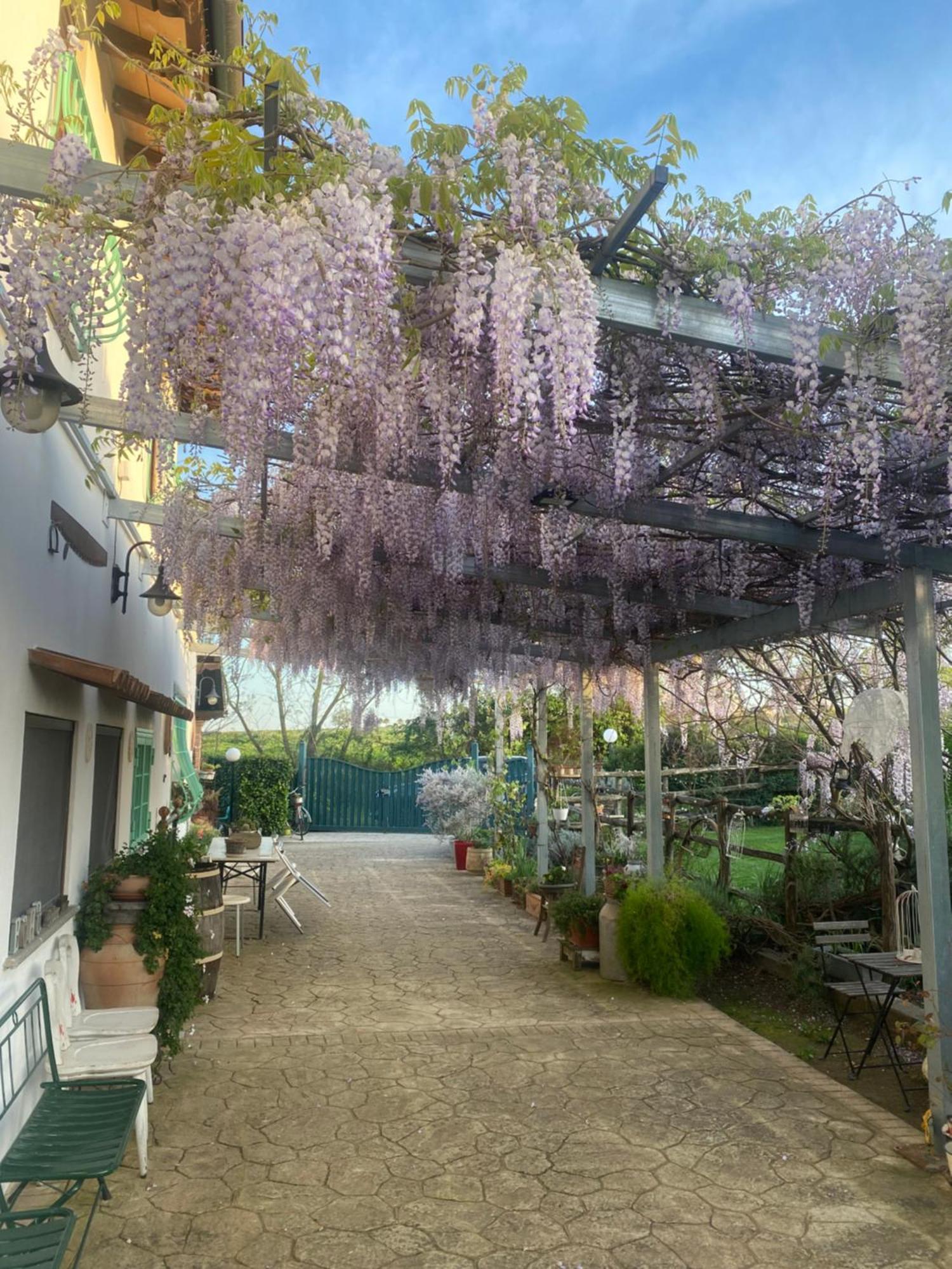 La Locanda Del Tevere Фиано-Романо Экстерьер фото